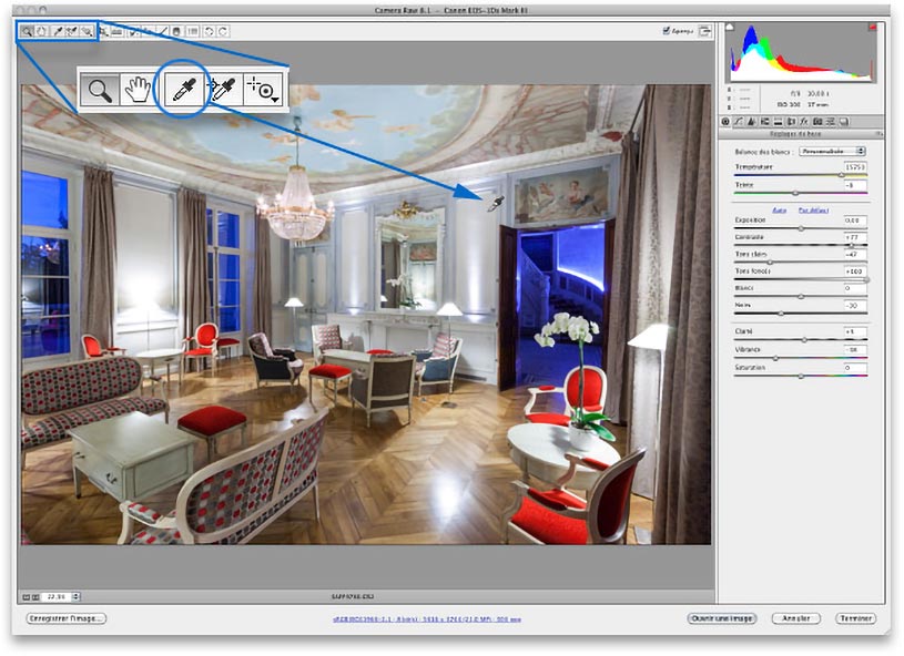 Faire la balance des blancs dans Camera Raw avec la pipette
