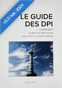 Le guide complet et pratique des DPI - 127 pages - Arnaud Frich