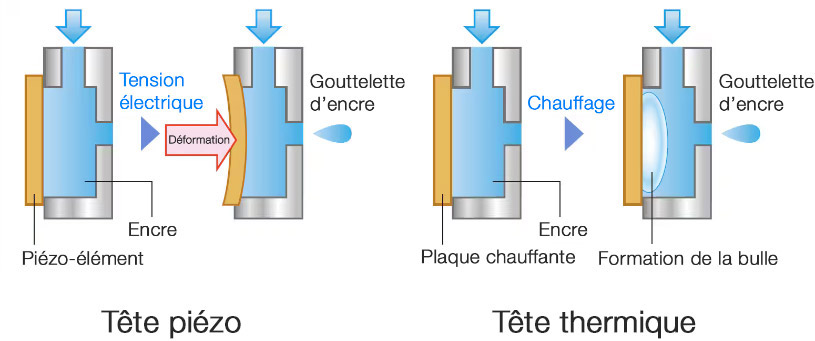 Tête d'impression piézo vs thermique