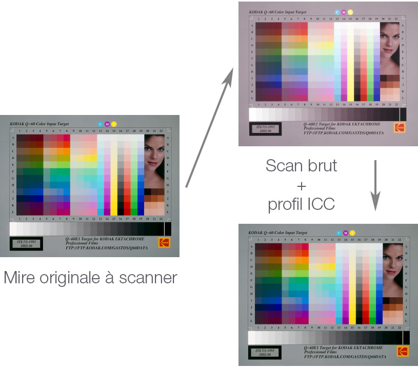 Différence d'affichage des couleurs d'une image après attribution du bon profil ICC