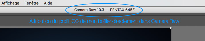 Menu Attribuer un profil ICC à un appareil photo numérique dans Camaera Raw