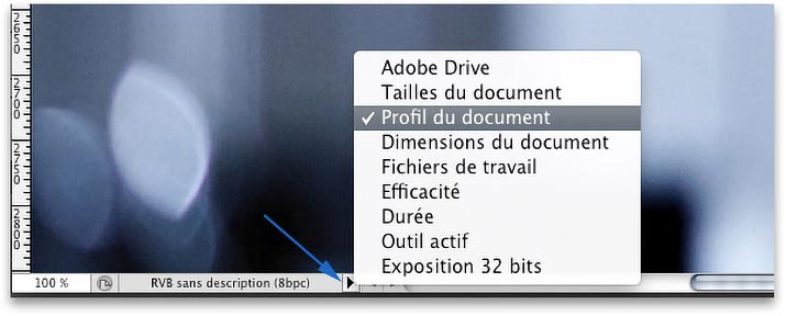 Menu -Profil du document- de la barre d'état de Photoshop