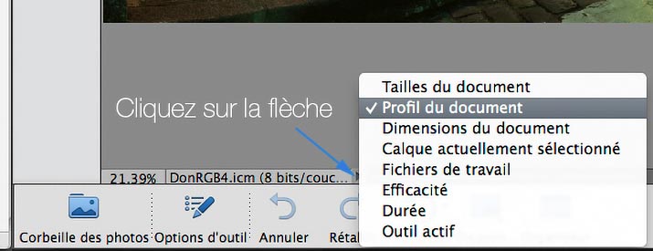 Choix du profil du document de Photoshop Elements