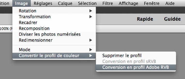 Menu -Convertir en profil- de Photoshop Elements
