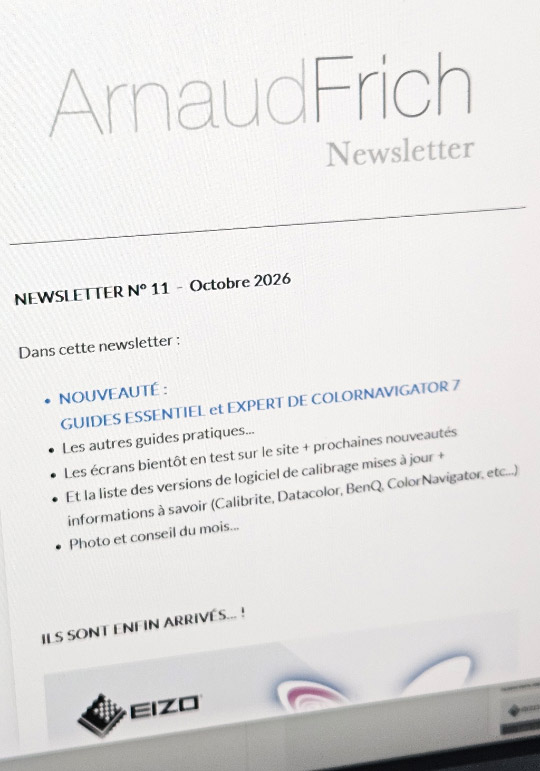 Newsletter Arnaud Frich
