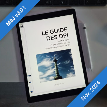 Guide des DPI - PDF 127 pages pour comprendre et bien utiliser les DPI