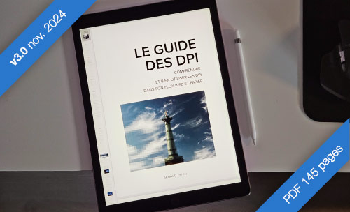 PDF Guide des DPI par Arnaud Frich