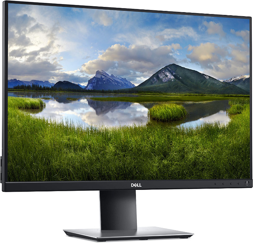 Écran DELL P2421 Full HD