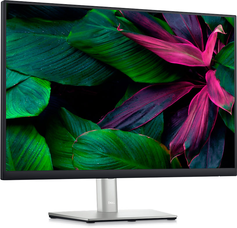 Écran DELL P2423 Full HD