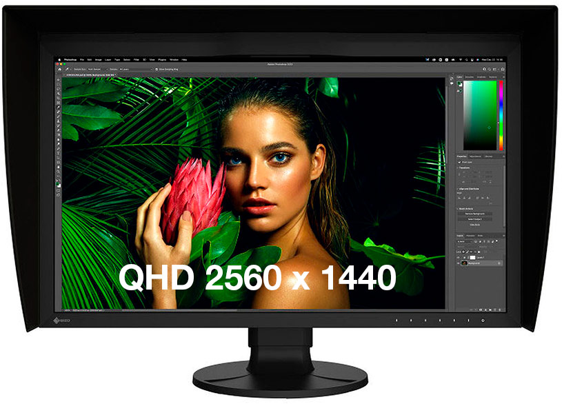 Dalle de l'écran EIZO CG2700S QHD