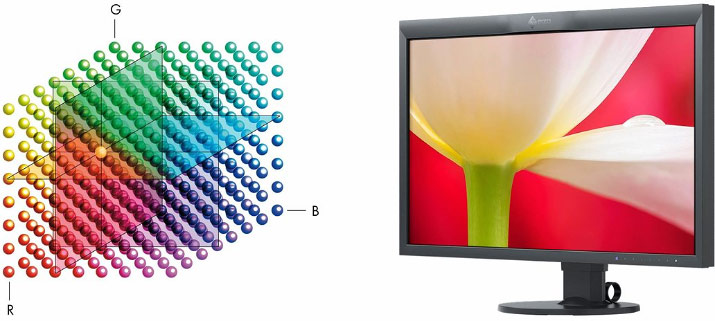 Table LUT de l'Eizo CG279X