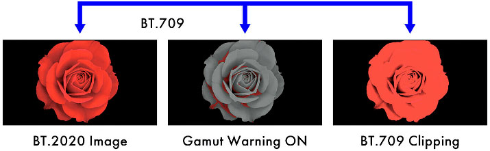 Coupure de gamut de l'Eizo CG3100X