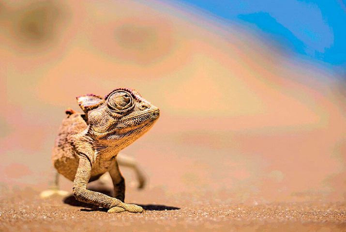 Différence d'affichage entre une table LUT 1D 8 bits (Banding) et une table 3D LUT 16 ou 24 bits (Sans banding)