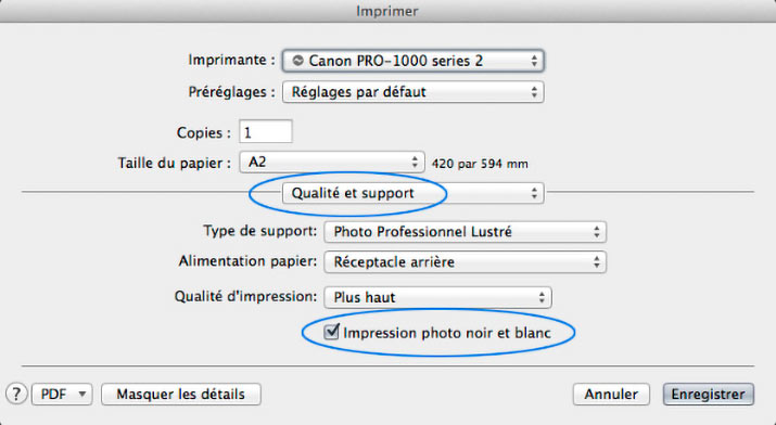 Mode d'impression noir et blanc de la Canon PRO-100S
