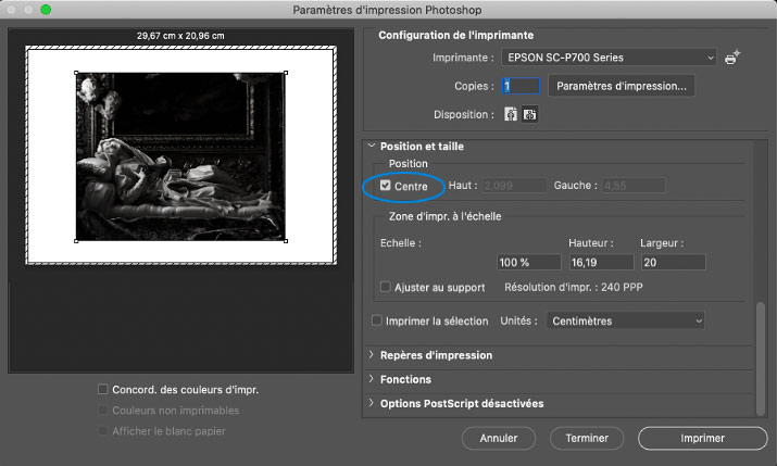 Option de centrage de le photo sur le tirage avec l'Epson SC-P700