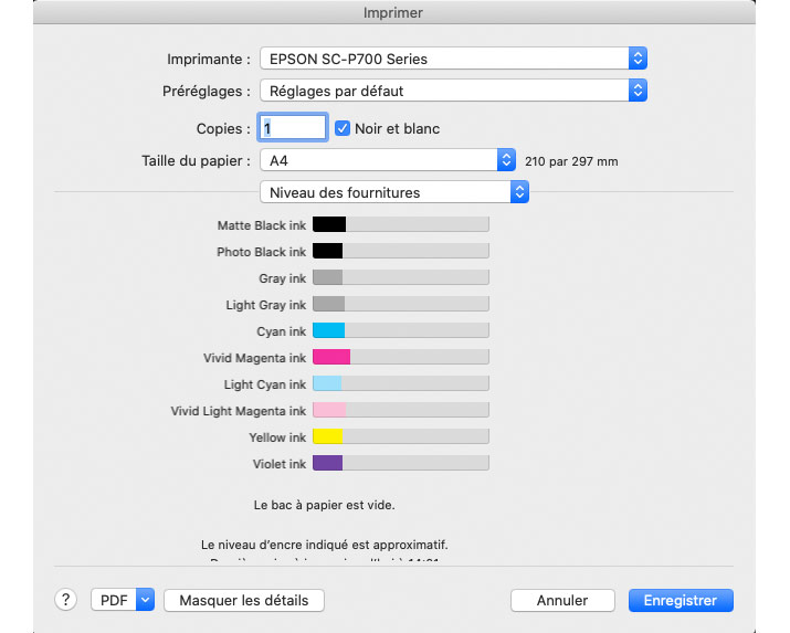 Niveaux d'encre restantes dans les cartouches de l'Epson SC-P700 après la première mise en route